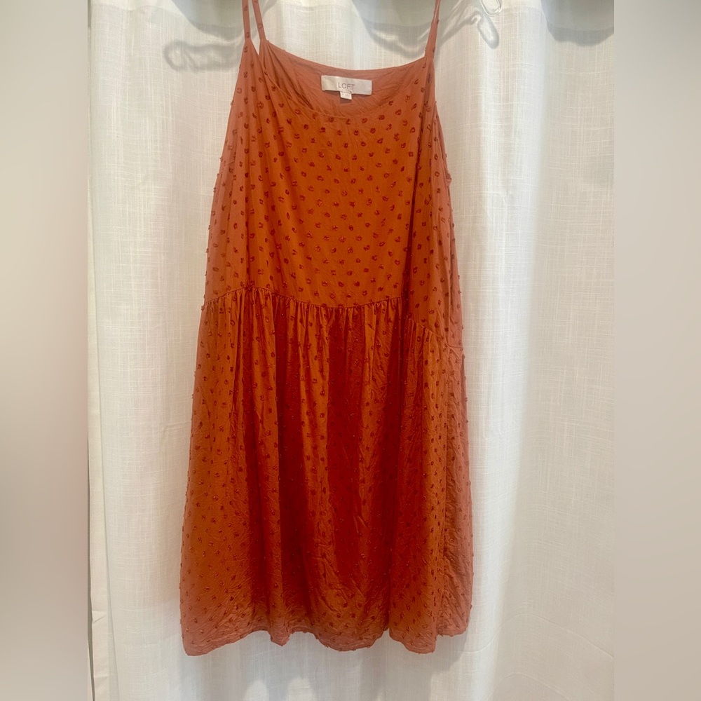 LOFT Swiss Dot Swing Dress SZ M